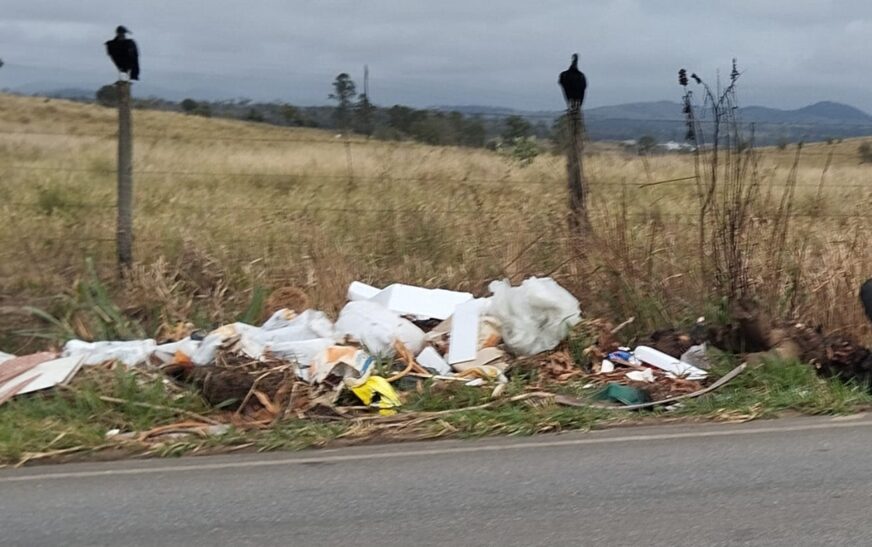 Lixo na entrada de Itapetinga: um retrato da fragilidade civilizacional. Descaso e sujeira: o preço da falta de fiscalização na rodovia BA-…