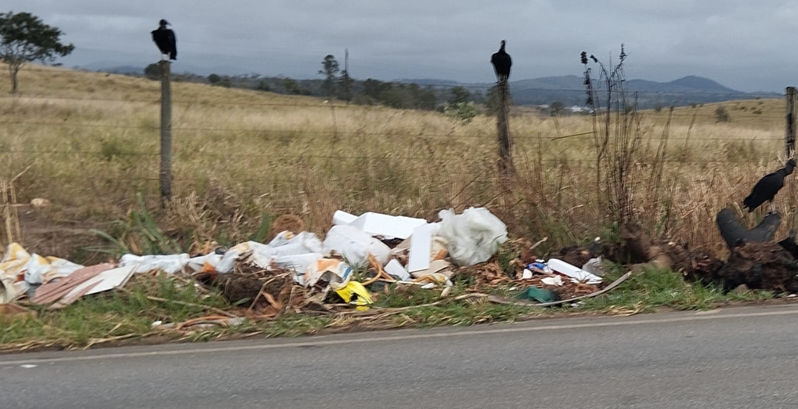 Lixo na entrada de Itapetinga: um retrato da fragilidade civilizacional. Descaso e sujeira: o preço da falta de fiscalização na rodovia BA-…
